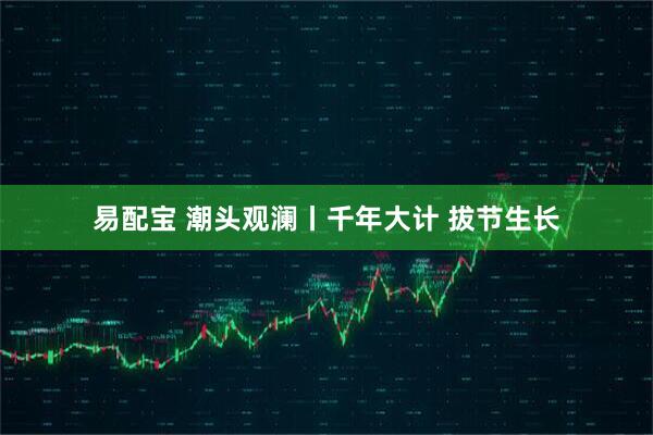 易配宝 潮头观澜丨千年大计 拔节生长