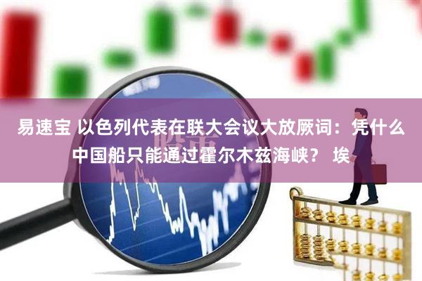 易速宝 以色列代表在联大会议大放厥词：凭什么中国船只能通过霍尔木兹海峡？ 埃