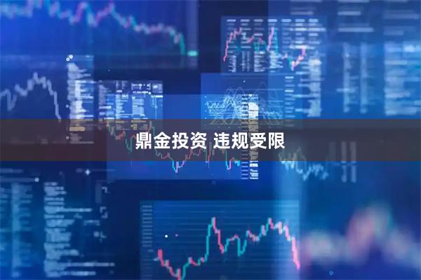 鼎金投资 违规受限