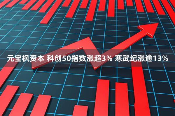 元宝枫资本 科创50指数涨超3% 寒武纪涨逾13%