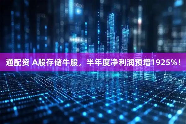 通配资 A股存储牛股,半年度净利润预增1925%!